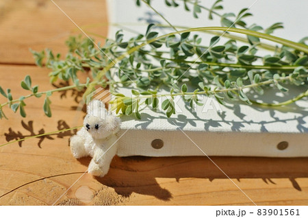 ロータスブリムストーンとベアグラスとテディベア　　 83901561