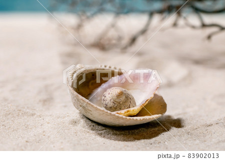 Summer sand sea beach with waves and seashell Summer sand sea beach with waves and seashell 83902013