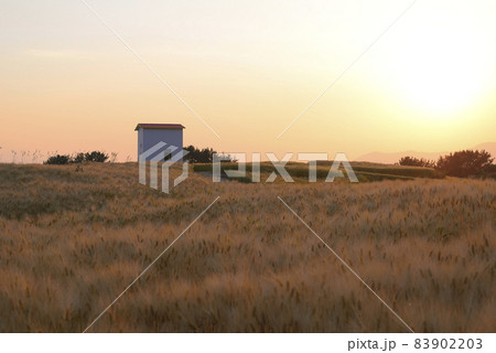 慶南 咸安郡 青麦畑 83902203