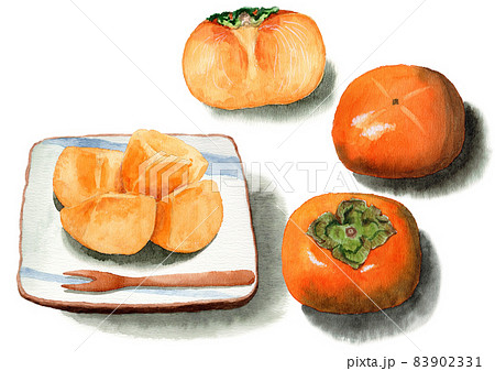アナログ水彩柿と皮をむいて切った種なし柿のセット 83902331