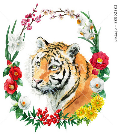 アナログ水彩冬の花サークルと虎の顔 83902333