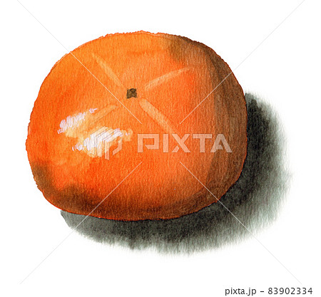 アナログ水彩逆さに置いた柿 83902334