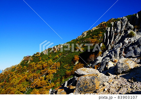 甲斐駒ヶ岳巻道からみる直登ルート 甲斐駒ヶ岳巻道からみる直登ルート 83903107