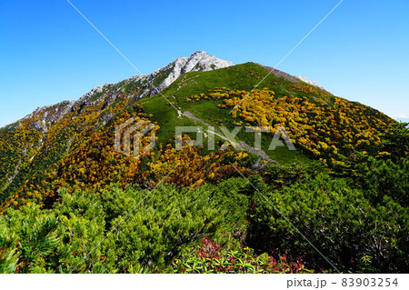 登山道から見る甲斐駒ヶ岳 登山道から見る甲斐駒ヶ岳 83903254