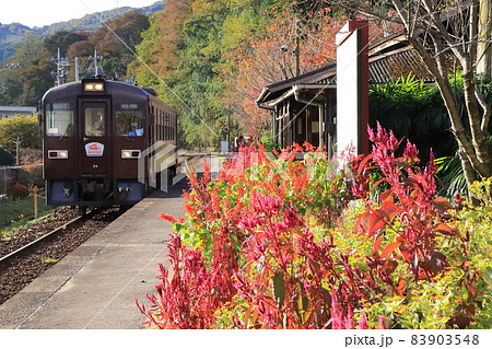 わたらせ渓谷鐵道「11月上旬の上神梅駅」 83903548