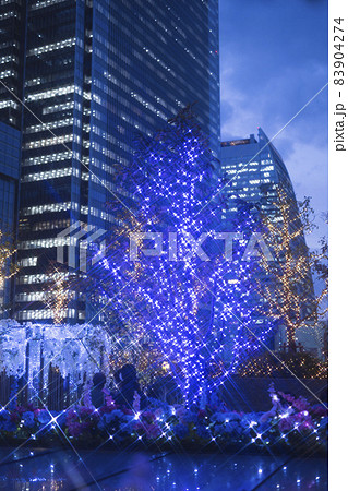 大名古屋ビルヂング スカイガーデン ウインターイルミネーション 夜景 2021 大名古屋ビルヂング スカイガーデン ウインターイルミネーション 夜景 2021 83904274