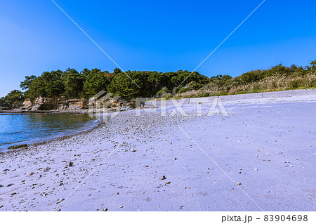 新谷海岸 むらさき色の海岸 新谷海岸 むらさき色の海岸 83904698