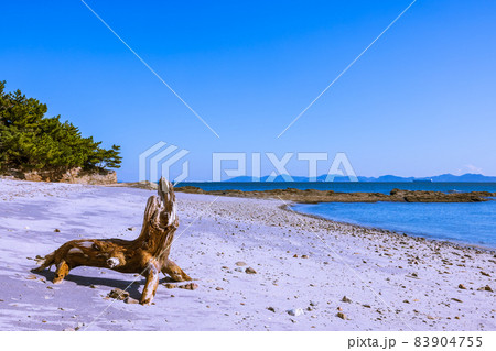 新谷海岸　むらさき色の海岸 83904755