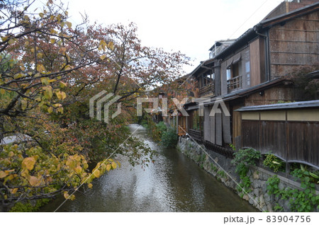 京都・祇園白川 83904756