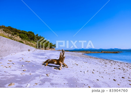 新谷海岸 むらさき色の海岸 新谷海岸 むらさき色の海岸 83904760