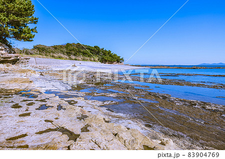 新谷海岸 むらさき色の海岸 新谷海岸 むらさき色の海岸 83904769