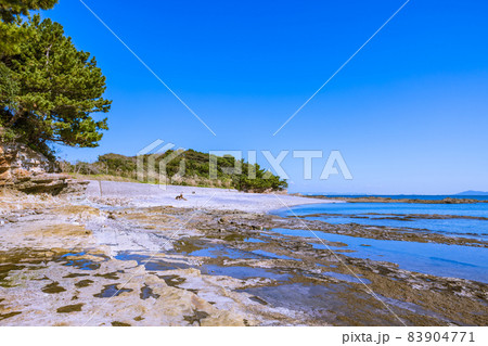 新谷海岸 むらさき色の海岸 新谷海岸 むらさき色の海岸 83904771