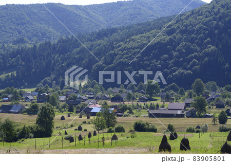 Carpathian village: country houses, gardens, forest and mountains 83905801