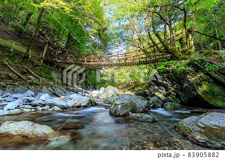 奥祖谷二重かずら橋　女橋　徳島県三好市 83905882