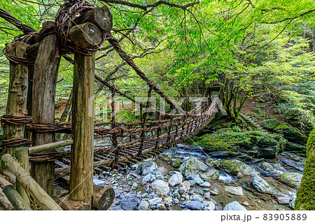 奥祖谷二重かずら橋　女橋　徳島県三好市 83905889