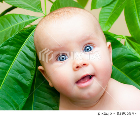 Baby girl looking out from green leaves 83905947