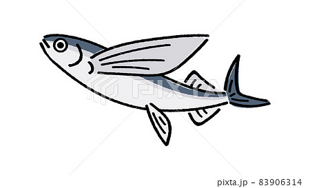トビウオ トビウオ 83906314