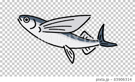 飛魚 83906314