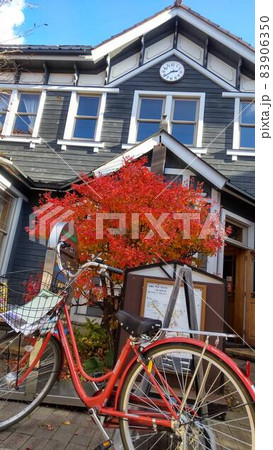 ⒒月　秋の軽井沢、紅葉の葉も散り冬の準備です、 83906350