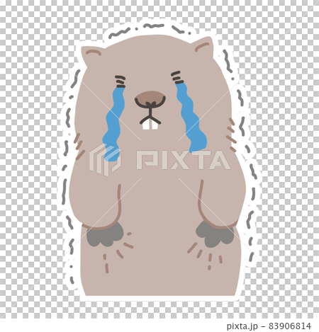 悔しがって涙を流すウォンバットのベクターイラスト 83906814