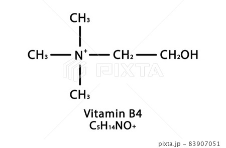 Vitamin B4 Choline molecular structure. Vitamin B4 Choline skeletal chemical formula. Chemical molecular formulas 83907051
