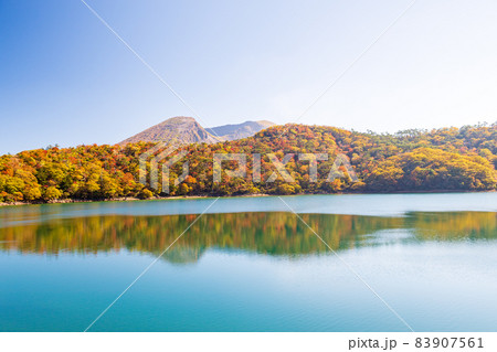 秋の霧島えびの高原に紅葉が美しい池の風景 秋の霧島えびの高原に紅葉が美しい池の風景 83907561