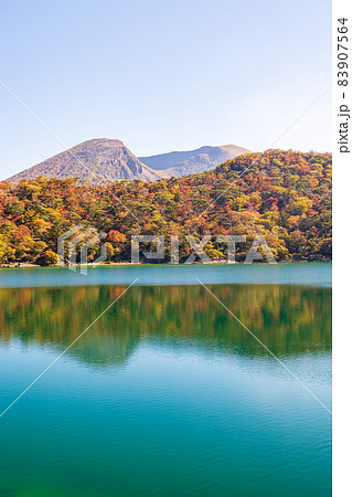 秋の霧島えびの高原に紅葉が美しい池の風景 秋の霧島えびの高原に紅葉が美しい池の風景 83907564