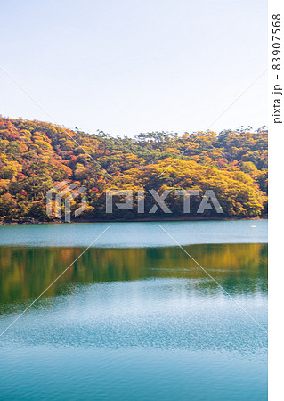 秋の霧島えびの高原に紅葉が美しい池の風景 秋の霧島えびの高原に紅葉が美しい池の風景 83907568