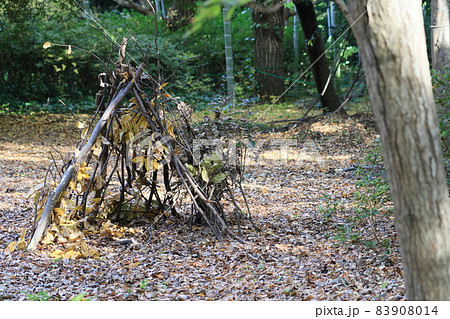 森の秘密基地 冒険 想い出 森の秘密基地 冒険 想い出 83908014
