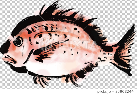 Japanese style hand-drawn brush illustration of sea bream 83908244