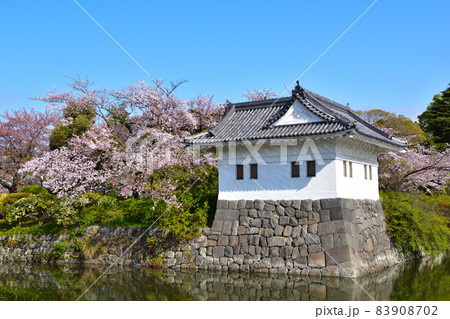 桜景　小田原城　隅櫓 83908702