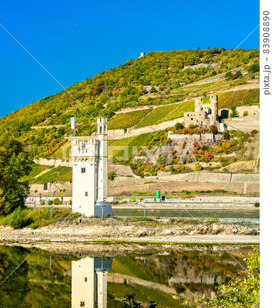 The Mouse Tower with Ehrenfels Castle on the background. The Rhine Valley, Germany 83908890