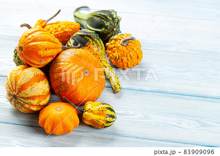 Various colorful squashes and pumpkins Various colorful squashes and pumpkins 83909096