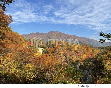 鳴子峡レストハウスから眺める紅葉の花渕山 鳴子峡レストハウスから眺める紅葉の花渕山 83909808