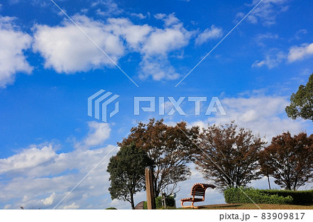 晴れた日の青空に向かう天空のベンチ 晴れた日の青空に向かう天空のベンチ 83909817