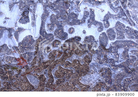 凍れる朝 凍れる朝 83909900