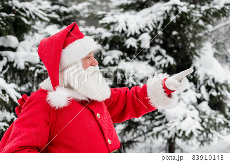 Surprised Santa Claus walks through a snowy coniferous forest at the North Pole in Lapland. Merry Christmas. Postcard. Surprised Santa Claus walks through a snowy coniferous forest at the North Pole in Lapland. Merry Christmas. Postcard. 83910143