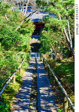 鎌倉 妙法寺の境内 83910377