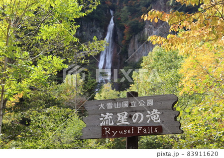 大雪山国立公園の迫力のある流星の滝 83911620