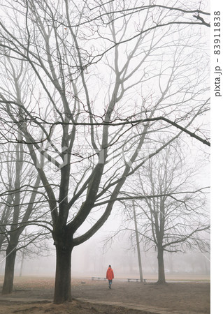 silhouette of man walking in the foggy morning in autumn forest or park alone silhouette of man walking in the foggy morning in autumn forest or park alone 83911838