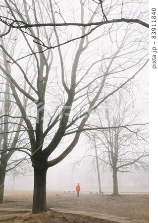 silhouette of man walking in the foggy morning in autumn forest or park alone silhouette of man walking in the foggy morning in autumn forest or park alone 83911840