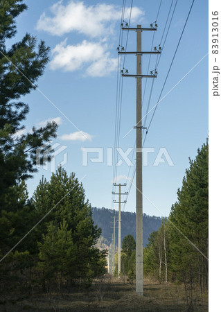 Power lines along the road and forests. Power lines along the road and forests. 83913016