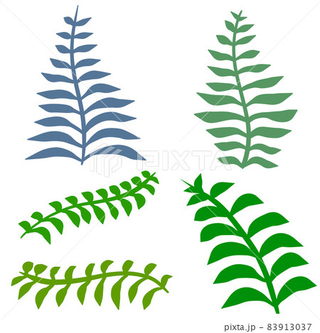 Fern leaf. Element of nature and the forest. Green bracken plant Fern leaf. Element of nature and the forest. Green bracken plant 83913037