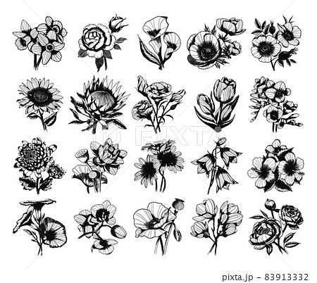 Flower Buds Illustrations in Art Ink Style 83913332