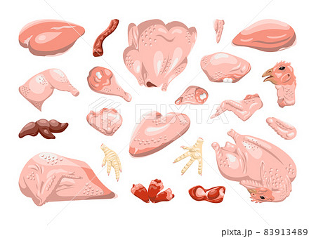 Set Of Chicken Parts In Realistic Styleのイラスト素材 9134