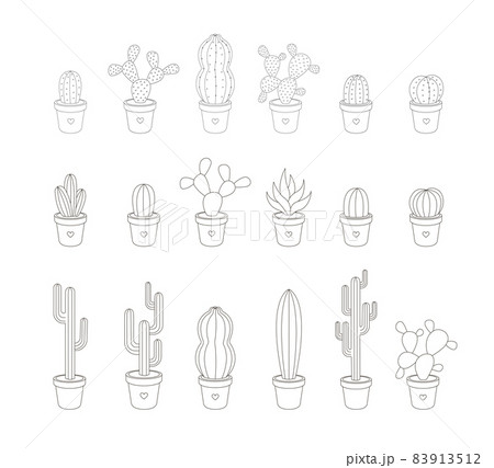 Set of Linear Cactuses 83913512