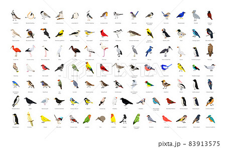 Collection of Wild and Domestic Birds 83913575