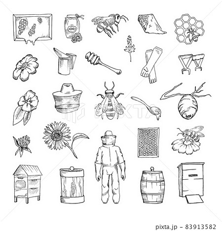 Beekeeping Illustrations in Art Ink Style 83913582