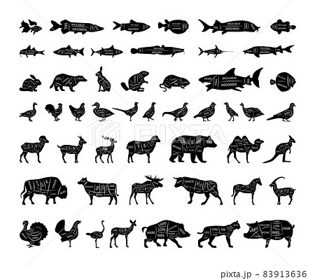 Set of Animals with Cutting Lines Set of Animals with Cutting Lines 83913636