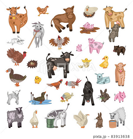 Set of Farm Birds and Animals Set of Farm Birds and Animals 83913638